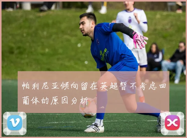 帕利尼亚倾向留在英超暂不考虑回葡体的原因分析
